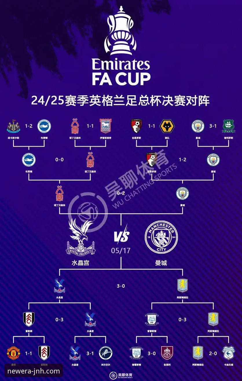 从狼队vs利物浦的足总杯对决，解析体育平台智能观赛的完整指南